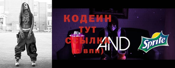 молекула духа Краснослободск