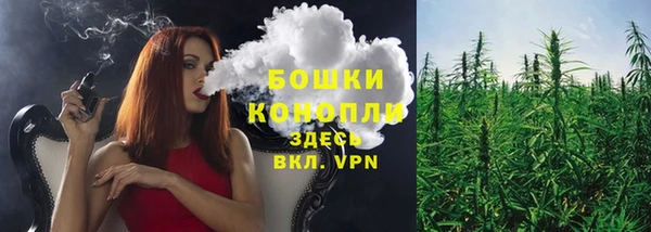 сатива Лабытнанги