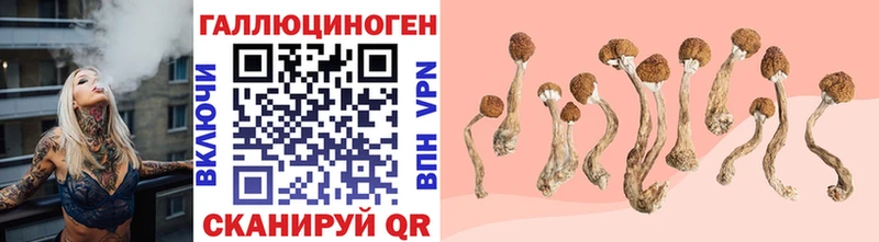 Галлюциногенные грибы MAGIC MUSHROOMS  Никольское 